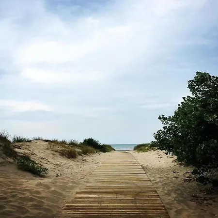 Sea View Family * ניופורט