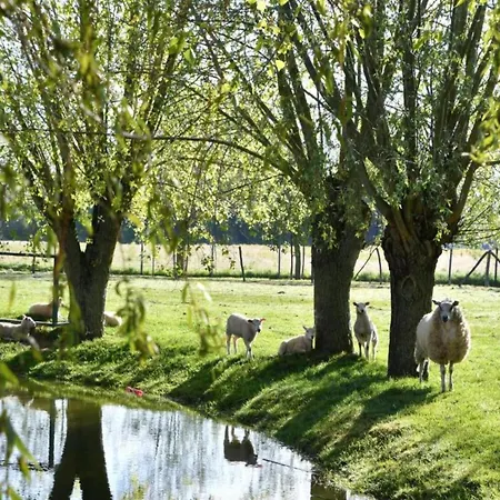 Sea View Family Apartamento