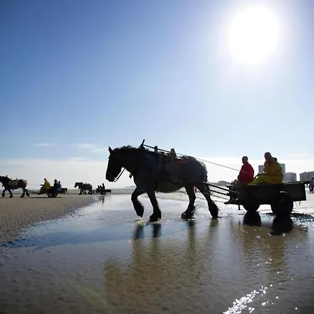 Sea View Family Apartamento Nieuwpoort