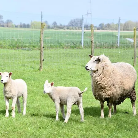 Sea View Family Nieuwpoort